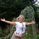 ���� ����, ���������, 58 ��� - ��������� 8 ������� 2019 � ������ ������������ ����-������ 2019�