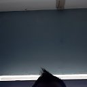 ���� Alex, ����� �������, 45 ��� - ��������� 10 ���� 2019 � ������ ���� ����������