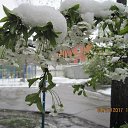 ���� Liliya, �������� - ��������� 4 ������ 2019 � ������ ������ ��������