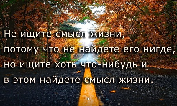     - 6  2019  03:31