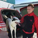 ���� ������, ������ ��������, 46 ��� - ��������� 29 ������ 2019