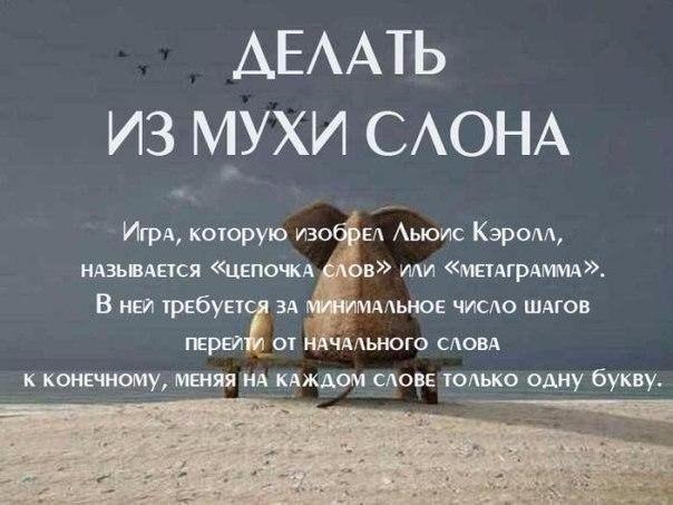      - 7