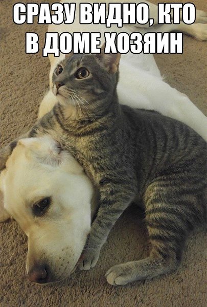    :D - 11  2019  01:54