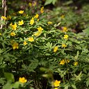 ���� ������, �����, 61 ��� - ��������� 27 ������ 2019 � ������ ����� ���������