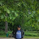 ���� ������, ���������� ����, 54 ���� - ��������� 23 ������� 2019 � ������ ���� ����������