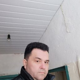 �����, ��������, 46 ���