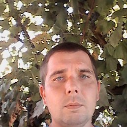 ����, ��������, 41 ���