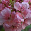 ������ �� ������� �������