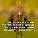  ,  -  21  2019    