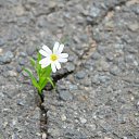  ••,  -  11  2019       ...