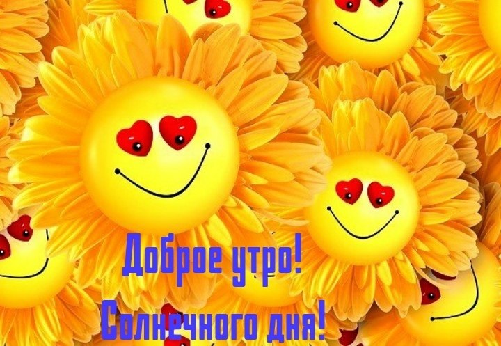   ,    . - 26  2019  22:10