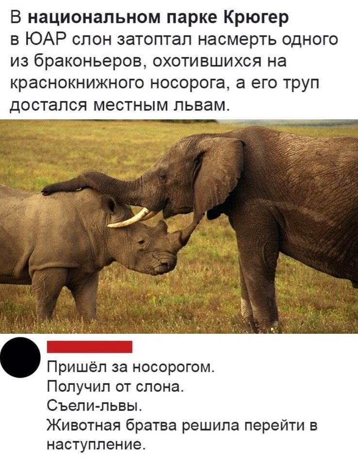  - 17  2019  03:19