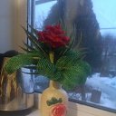 ���� ������, ���������, 57 ��� - ��������� 31 ����� 2019 � ������ ������ ��������