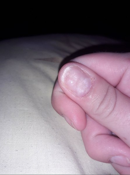 #@modnailru. ,  ?  ,    ,? ? ... - 2