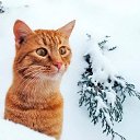  Saturn,  -  21  2019    