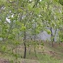 ���� �������, ������������ - ��������� 8 ������� 2019 � ������ �������� ��������
