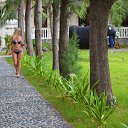 ���� ������, ������, 56 ��� - ��������� 4 ��� 2019 � ������ ���� ����������
