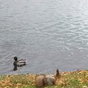 ���� �����, ������ - ��������� 24 ������� 2019 � ������ ���� ����������