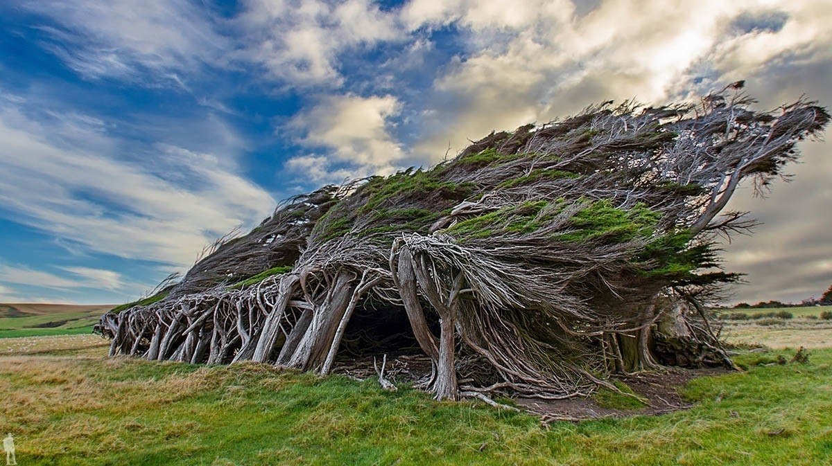     Slope Point,  