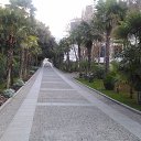 , ,05.12.19.8.25.   , 2019