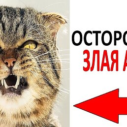 �����, ����, 32 ����