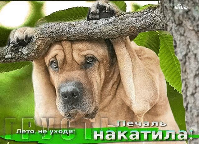   ,    . - 31  2019  13:40