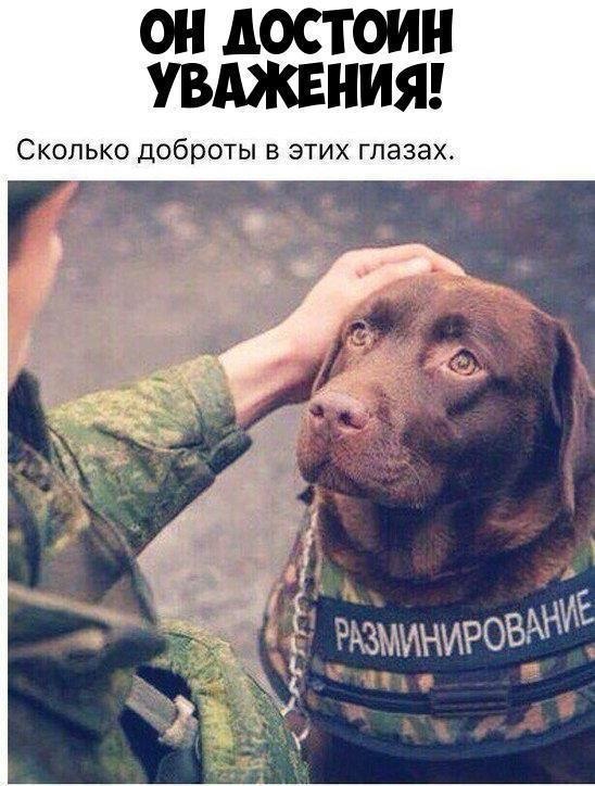    :D - 23  2019  00:45