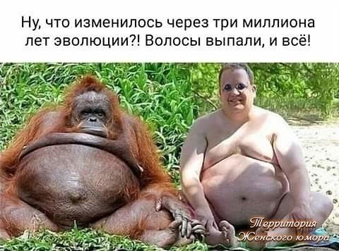 � ���� �� �����... - 31 ��� 2019 � 22:47
