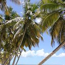 ���� ����, �������� - ��������� 5 ��� 2019 � ������ ���� ����������