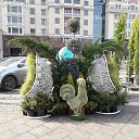 ���� �������, �����������, 47 ��� - ��������� 22 ������� 2019 � ������ ���� ����������