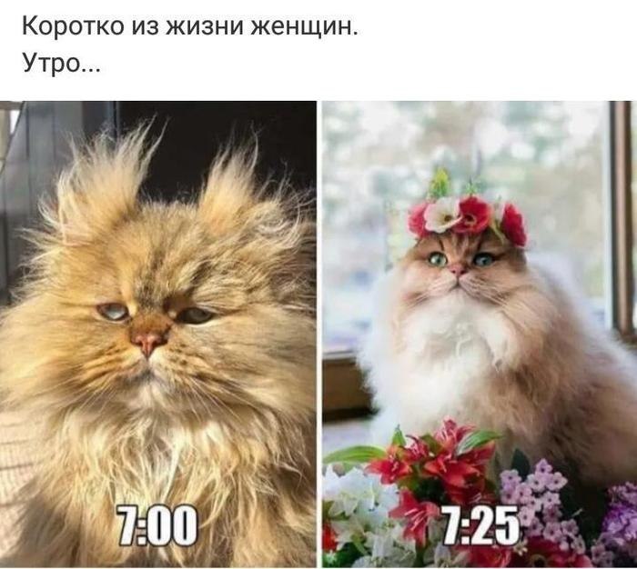   ! - 3  2019  07:11