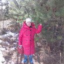 ���� �������, ������ ��������, 67 ��� - ��������� 2 ������ 2019 � ������ ��� ������� ���������