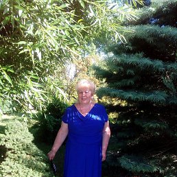 ���� �������, ������ - ��������� 24 ���� 2019