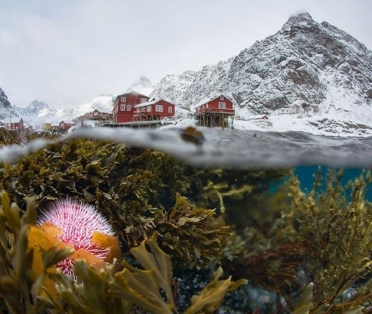  National Geographic   - 7