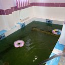 ���� �������, �����������, 59 ��� - ��������� 26 ���� 2019 � ������ ������ ��������