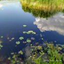 ���� �������, �����-���������, 57 ��� - ��������� 15 ������� 2019 � ������ ������ ��������