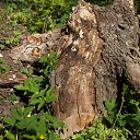 ���� ������, �����, 61 ��� - ��������� 27 ������ 2019 � ������ ����� ���������