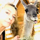 ���� ��������, �����-���������, 51 ��� - ��������� 19 ������ 2019 � ������ ���� ����������