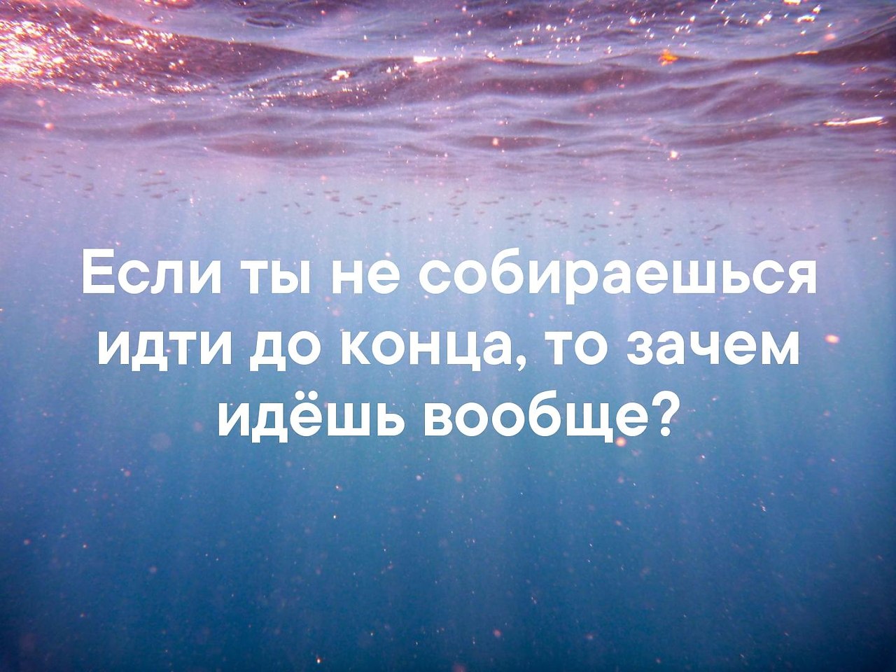   . . . - 13  2019  03:47