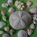 ���� ������, ������, 53 ���� - ��������� 6 ������ 2019 � ������ ����� 2019�