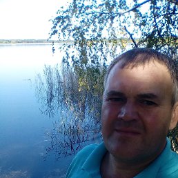Дмитрий, 44, Волчиха
