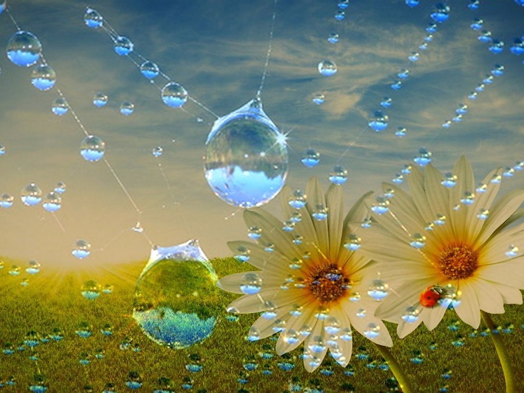   ,    . - 11  2019  13:38