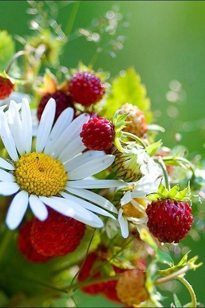  ))).    ,   .    ... - 5