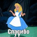 ���� �������, �������������, 56 ��� - ��������� 26 �������� 2019 � ������ ���� ����������