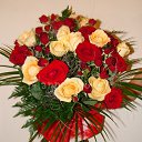  Constantin, , 50  -  2  2019