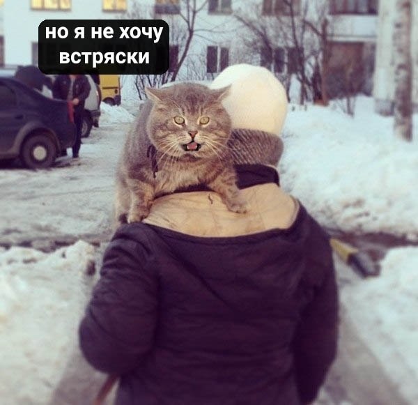 :  - 5