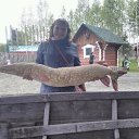 ���� ���������, ������������, 42 ���� - ��������� 8 ���� 2019 � ������ ���� ����������