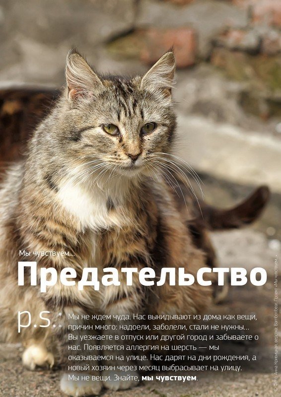    ! - 2
