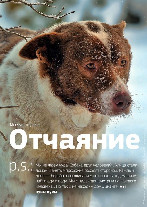    ! - 3