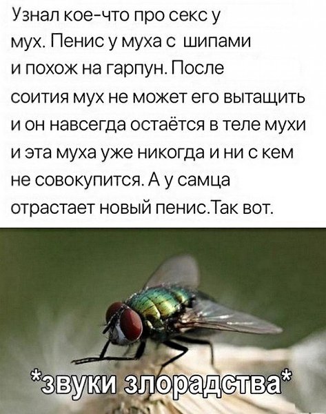  - 13  2019  14:42
